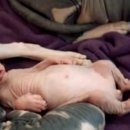 고양이는외계인 이미지