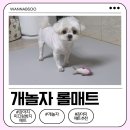 개놀자 이미지