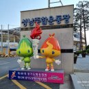 성남종합운동장 풋살구장 이미지