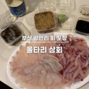 신선타운 | 부산 광안리 민락회타운 울타리상회 : 신선한 보리숭어, 광어 회포장 내돈내산 후기