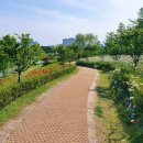 한밭수목원 이미지