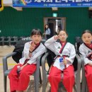 용인대 태권도 체육관 이미지