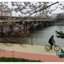 금호강변 이미지