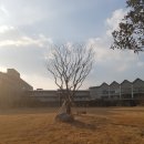 [주말 여행] 광양 LF스퀘어에 다녀왔습니다. 후기/정보