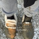 충주여자고등학교 | 바람슝슝부는 1월