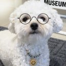 다인안경원 이미지