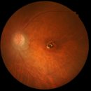 다나와 전자 이미지