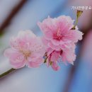 가나안방문요양센터 이미지