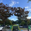 영월 동강오토캠핑장 | [두번방문한] 영월동강오토캠핑장(A3, B8사이트)