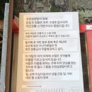 대강청과마트 | 25년 일본여행 1일차: 시모노세키