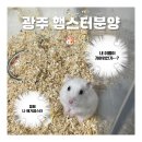 특별한 동물가게 광주점 이미지