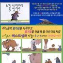 어린이가족뮤지컬누가 내 머리에 똥 쌌어? 이미지