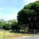 용안농장 이미지