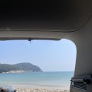 🌊 금오도 해루질 여행 후기자연 + 감성 + 먹방 완벽했던 하루 🐚
