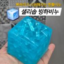 샐리솝