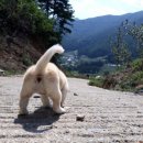 멍스토리 이미지