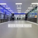 용인대 한여울 태권도장 이미지