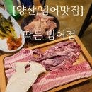 딱돈 이미지