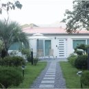 나무의꿈 이미지