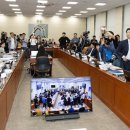 동물 국회만도 못한 李 정부 첫 국감 이미지