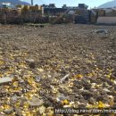 오뚜기공인중개사사무소 이미지