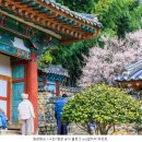 밀양향교 이미지