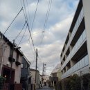 계림초등학교 정문 건너편 육교 | [Tour] #140.마이리얼트립 어린이 도슨트 후기-#81.일본과학미래관/ 이틀연속 참가, 올해 마지막 도슨트