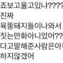 죠죠 보는 갠달(스포주의) 이미지