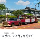 (주)대신푸드 화성지점 | 수원 행궁동 놀거리 추천 - 화성어차 탑승 후기 (운행 시간, 예매 방법, 둘레길 코스 및 하차 구간...