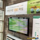 봉개프라자CC | 봉개 플라자cc 제주 노캐디 야간라운딩 가능 골프장