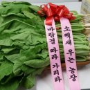 김춘식농장 이미지