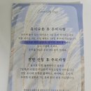 엑사오토글라스