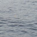 속천방파제 이미지