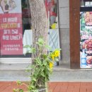 369 노래연습장 이미지