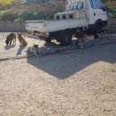 한마음 한뜻 농장 이미지