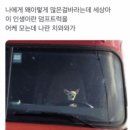 와항 이미지