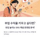 채널Q | 부업 수익을 키우고 싶다면? 유입 늘리는 SNS 채널 운영법 전격 분석!