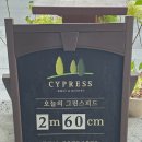 사이프러스CC | 제주 사이프러스cc 회원제 코스 라운딩 후기