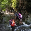 휴양림길 이미지