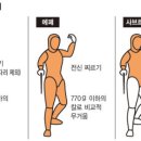 펜싱종목 설명 이미지