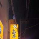 최고네코다리 이미지