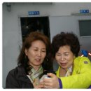 중향 이미지