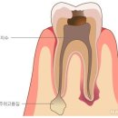 연세윤치과 - 강남구 개포로109길 34 | 연세윤치과