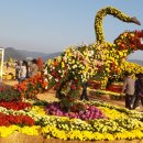 산호동263 이미지