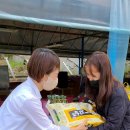 국화리팜랜드 이미지