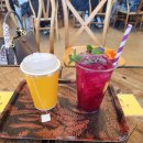 웅진민박 이미지