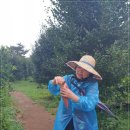 영분농장 이미지