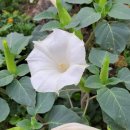 용천사편의점 이미지