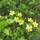 사진과포토샵 이미지