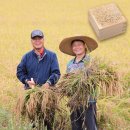 좋은쌀로 밥짓고 | “백미 끊고 쌀눈쌀로 바꾼 이유?” 당뇨, 비만 관리에 진심인 고객 후기 공개